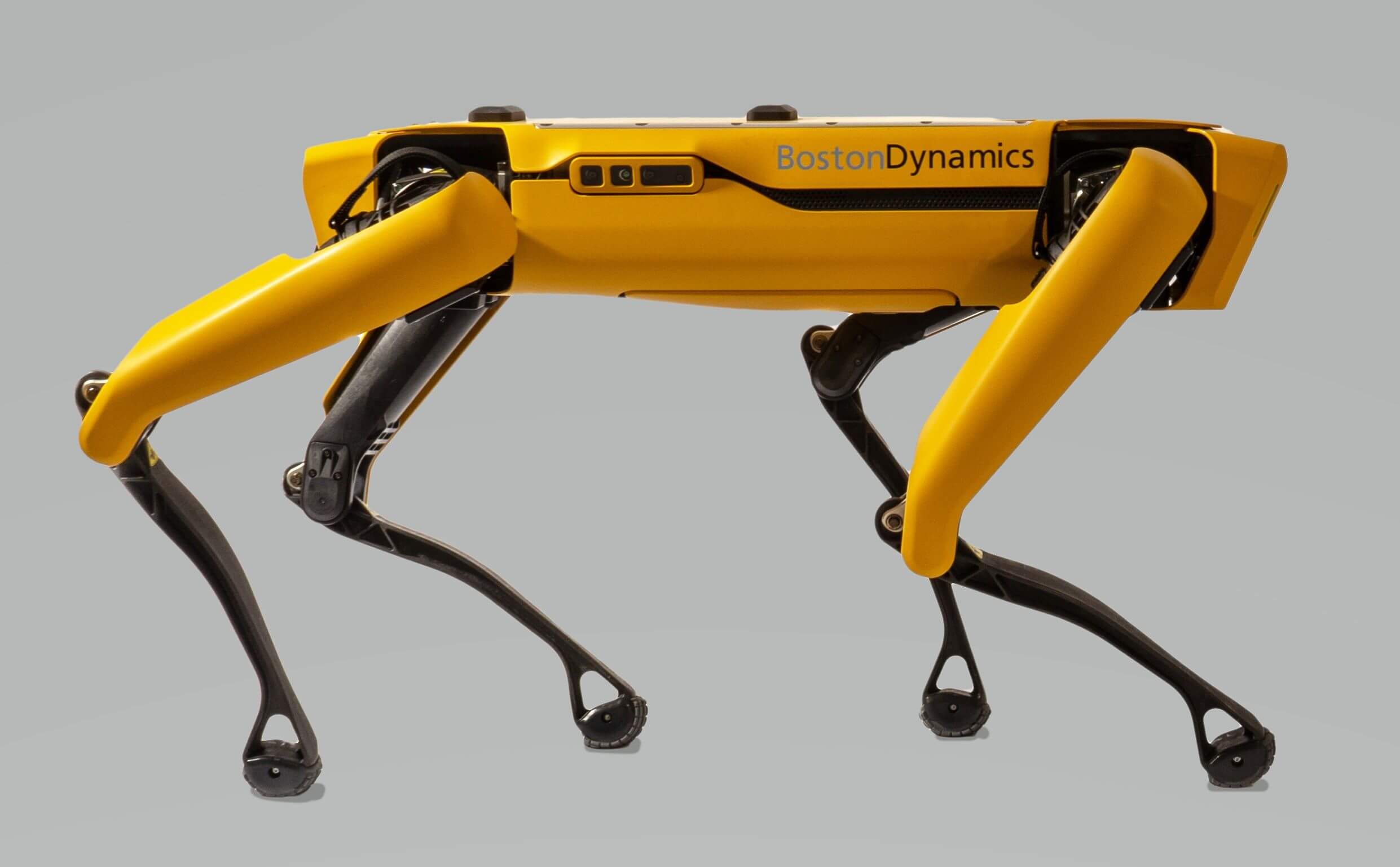Robot Dog Spot From Boston Dynamics On Sale Silicon Uk Tech News