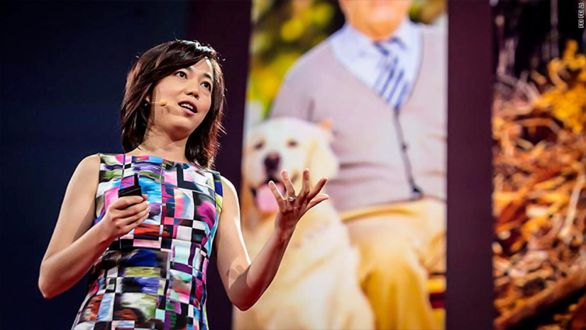 Stanford University AI researcher Fei-Fei Li pictured in May 2024. Image credit: Fei-Fei Li